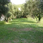 Zoric